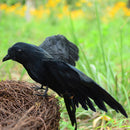 Artificial crow garden flocked halloween decoration birds crow decoy raven A Gw