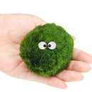 4cm Aquarium  Live aquarium Green Algae Ball plant Fish tank betta sea Decro