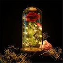 Artificial Rose LED Lamp Glass Lampshade With Gift Box For Valentine's Day Gift