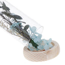 16cm Enhanced Dried Flower Glass Cover Display Cloche Jar Dome Wooden Base c