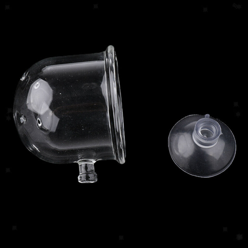 2Pcs Aquarium Fish Tank Feeding Glass Cup Aquatic Plant Crystal Holder Feeder