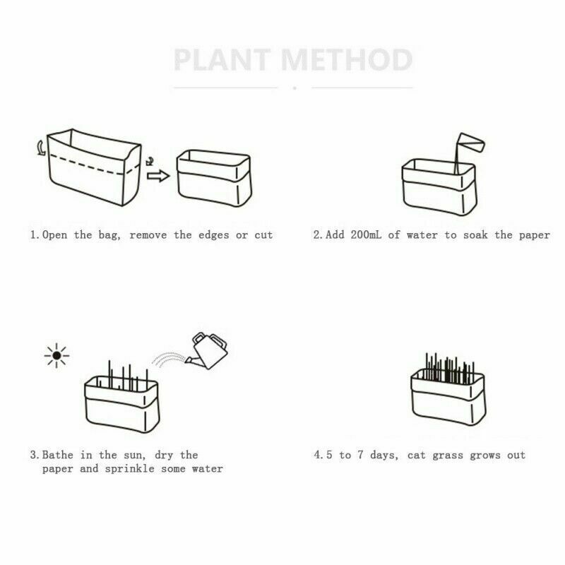 Pet Cat Grass Soilless Culture Growing Kit Cats Stomach Control Planter Hai B4Y5