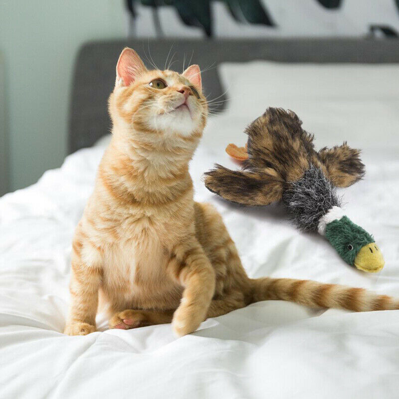 Realistic Pet Puppy Dog Chew Squeaker Squeaky Sound Wild Duck Plush Funny Toys