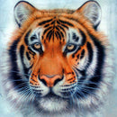 Diamond Painting Kits Tiger Full Round Drill Handicrafts Home Art (B2256)