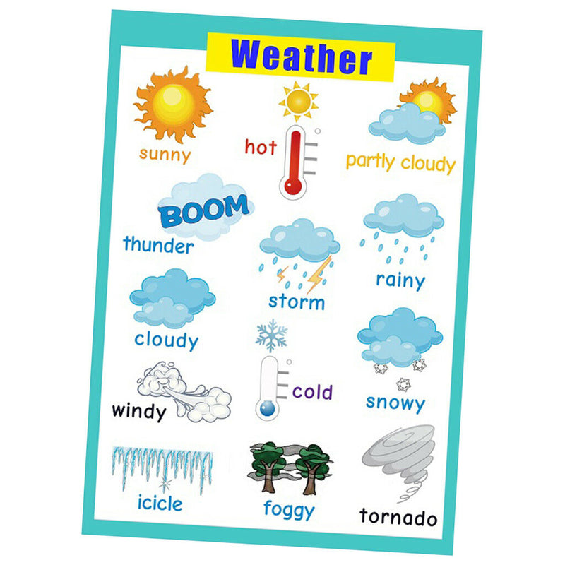 Weather &Nature~Kindergarten Classrooms Early Learning Educational Posters