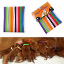 Pet Dog Cat Puppy ID Collar 12Pcs Nylon Collars Adjustable New Arrival UK