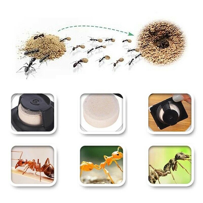6Pcs/Lot Ant Agent Ant Killing Powder Bait Ants Repellent Repeller Trap Kil