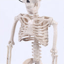 Posable Skeleton Halloween Decor Scary Man Bone Creepy Party Decor FE FT
