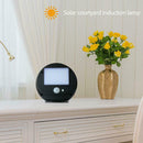 Infrared Motion Sensor LED Wall Lamp Outdoor Solar Rechargeable Porch Light