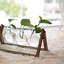 Plant Terrarium with Wooden Stand Glass Vase Holder for Home Decoration,Sci