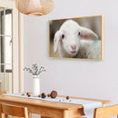 Full Drill Animal Diamond Painting Mosaic Rhinestone Handwork (LD496 Sheep)