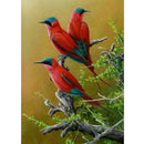 5D DIY Full Drill Diamond Painting Bird Cross Stitch Kit Home Decor (W244)