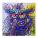 5D Owl Diamond Painting Special Rhinestone for Beginner Home Decor 30x30cm