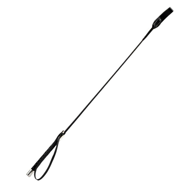 Plastic Professional Dog Training Whips Aggressive Pets Trainings Leashes