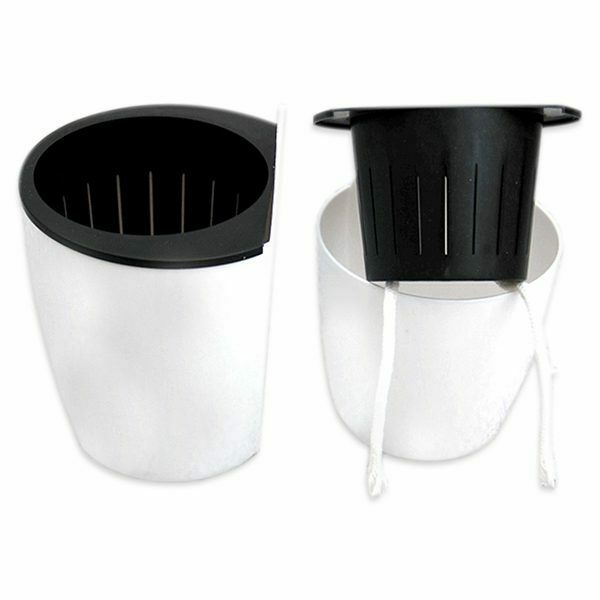 Plant Flower Pot Wall House Garden, Small