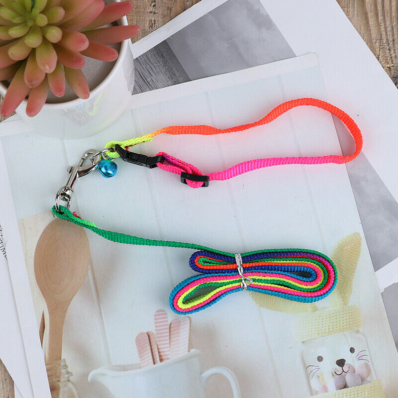 ColorfulRainbow Pet Dog Collar Harness Leash Soft Walking Durable Traction Rope`