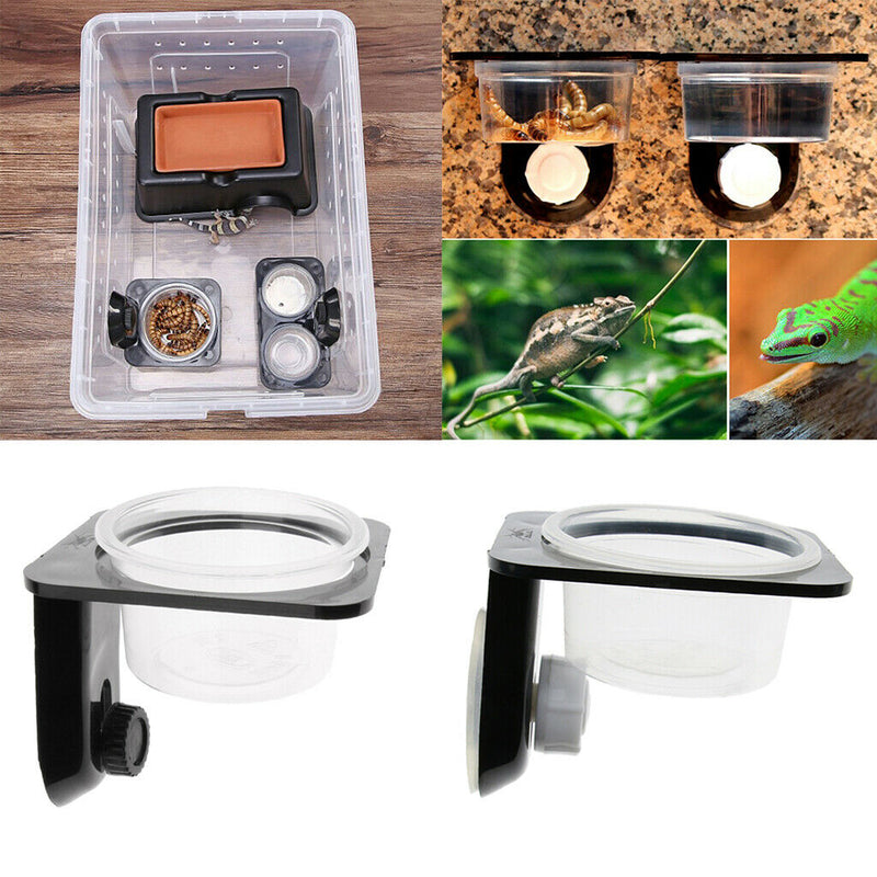 2 Pcs Durable Reptiles Lizard Suction Cup Feeder Food Water Bowl Breeding