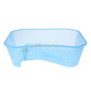 Reptile Tortoise Turtle Vivarium Tank Fish Aquarium with Coconut Tree Blue