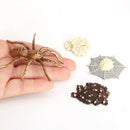 Lifelike Spider Bee 4 Stage Life Cycle Playset Education Cognitive Toys