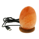 USB Charging Crystal Decor Hand Crafted Natural Himalayan Salt Lamp Night Light
