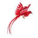 Artificial Red Bird w/ Long Tail Realistic Taxidermy Home Garden Decor 28cm