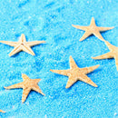 20 pcs Mini Cute Small Starfish Sea Star Shell Beach Home Decor DIY Craft
