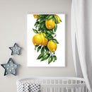 5D DIY Full Drill Diamond Painting Fruit Embroidery Mosaic Craft Kit (w372)