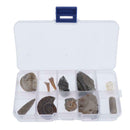 10pcs Rock Mineral Stone Amber Fossils Collection Education Science Specimen