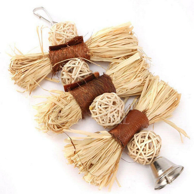 Pet Parrot Conure Cockatiel Parakeet Budgie Bird Chew Bites Swing Cages Toys