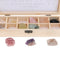 Rock and Mineral Collection 12-piece in Wooden Box, Rock Samples for Science