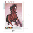 5D DIY Diamond Painting Full Drill Mosaic Kit Horse Cross Stitch (T355)
