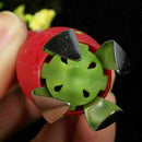 Fruit Strawberry Tomato Stem Leaves Huller Remover Dwgp Corer Removal