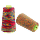2Pc Colored Polyester Sewing Thread Spools 40s/2 for Clothing DIY Quilting Craft