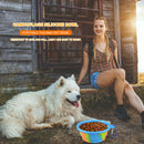 Dog Silicone Bowl Folding Outdoor Portable Pet Food Feeder Dish (Blue) A