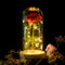 Eternal Rose Flower Red Silk Rose and LED Light with Fallen Petals in Glass L4E8