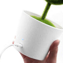 Plant Air Purifier Remove Air Pollutant And Allergen Smoke, Dust, Pollen, P