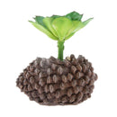 Artificial Foliage Succulent Water Lily Plant Wedding Vivid Decor