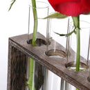 Test Tube Planter Flower Bud Vase with Wood Stand Tabletop Glass Terrarium