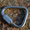 Triangle Shape Mountain Rock Climbing Stainless Steel Screw Lock Carabiner