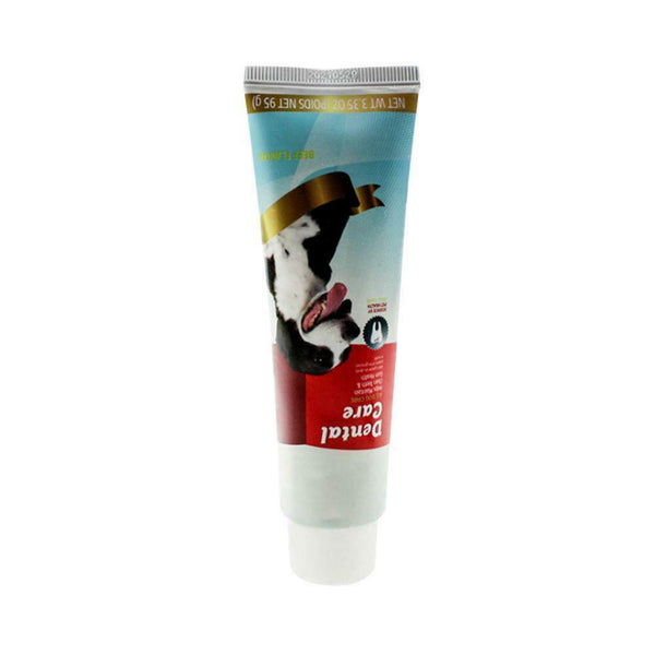 All-Natural Toothpaste For Dogs Cats Best Solution For Bad Breath Control