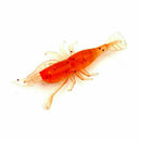 Soft Koeder Shrimp Simulation Shrimp Soft Koeder Bionic Koeder Shrimp Q3L2