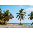 Beach Coconut Trees Photoshoot Background Cloth Backdrop Photography Props