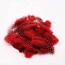 50 pcs Feather of cock Applique Sewing Decor Garment Hat DIY Jewelry 5-10 c A1B9