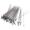 100pcs Stainless Steel  Insect Pins Specimen Pins for School Lab EducationOZ 3C