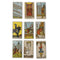 1Box Magical Smith Tarot Cards Deck Edition Mysterious Tarot Board Game 78 Ca Hn