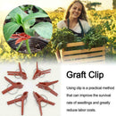 50x Gardening Grafting Clips For Home Garden Vegetable Bushes Vine Flower Q6R4