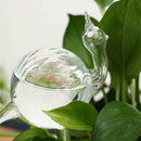 2X Glass Plant Flowers Water Slow Feeders Self Watering Bird Snail Pla FLN