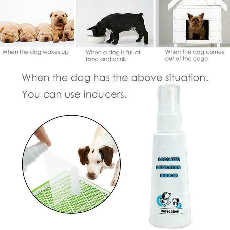 Dog Potty Training Aid Puppy Cat Pet Toilet Training Spray Practical N1B9