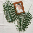12x Artificial Lifelike Cycas Leaves Home Garden Decor Photography Props