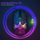 X13 2.4GHz Wireless Gaming Mouse USB Backlight Mice for PC (Star Black)